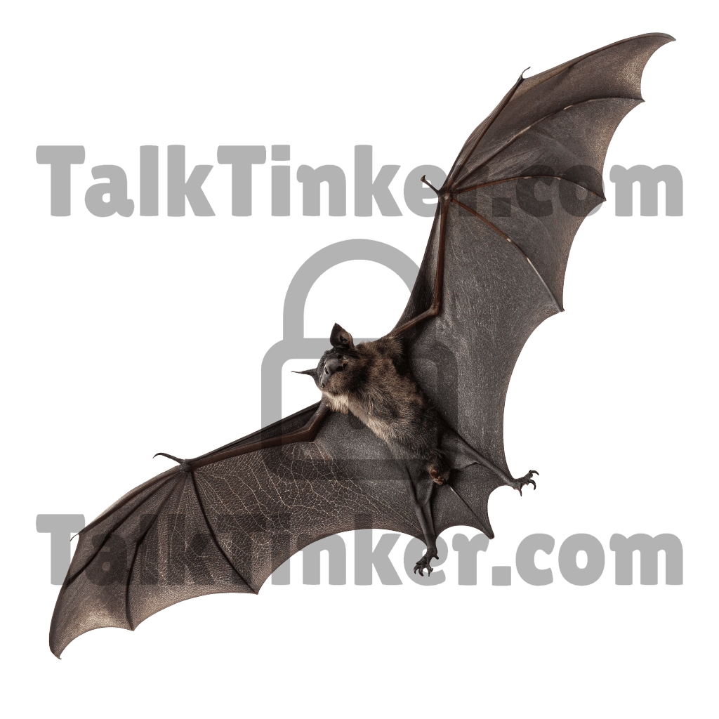 Bat