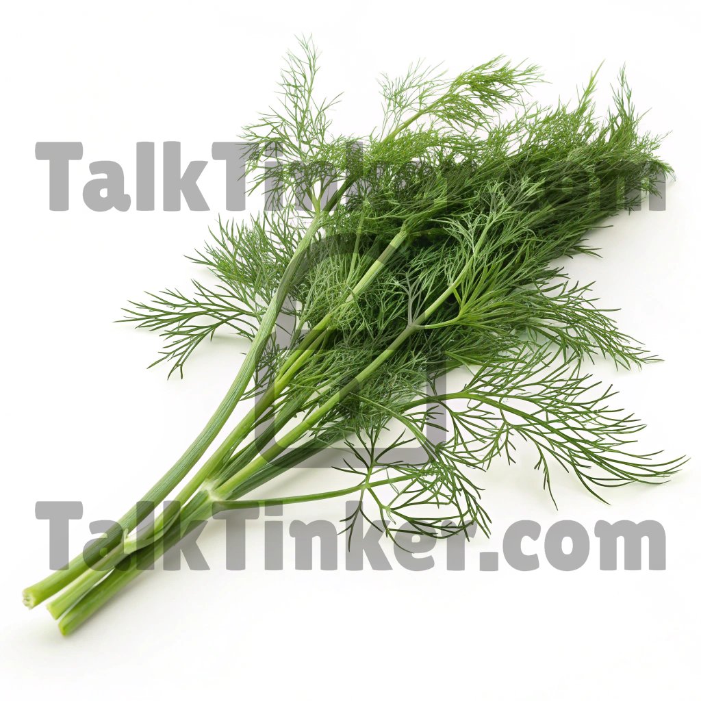 Dill