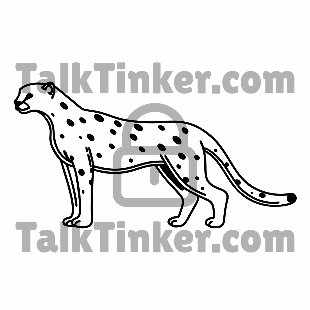 Cheetah