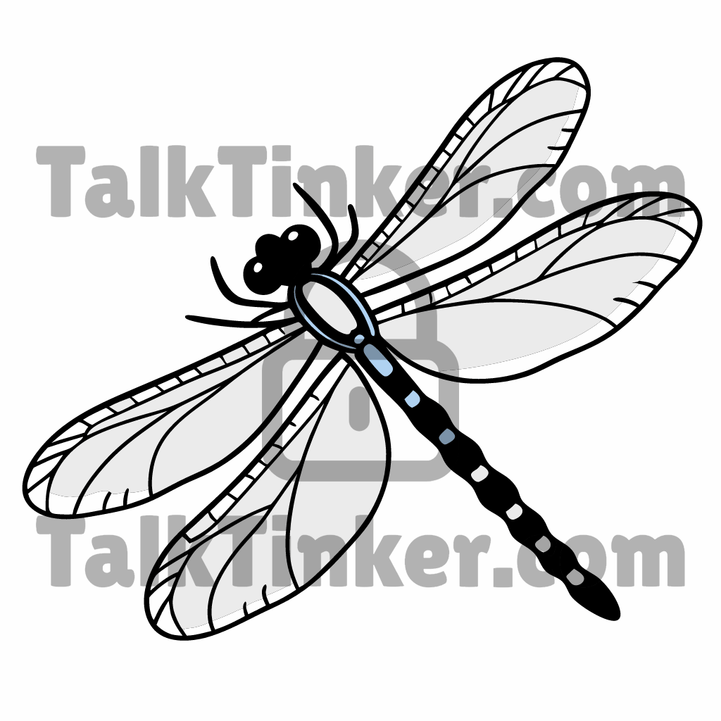 Dragonfly