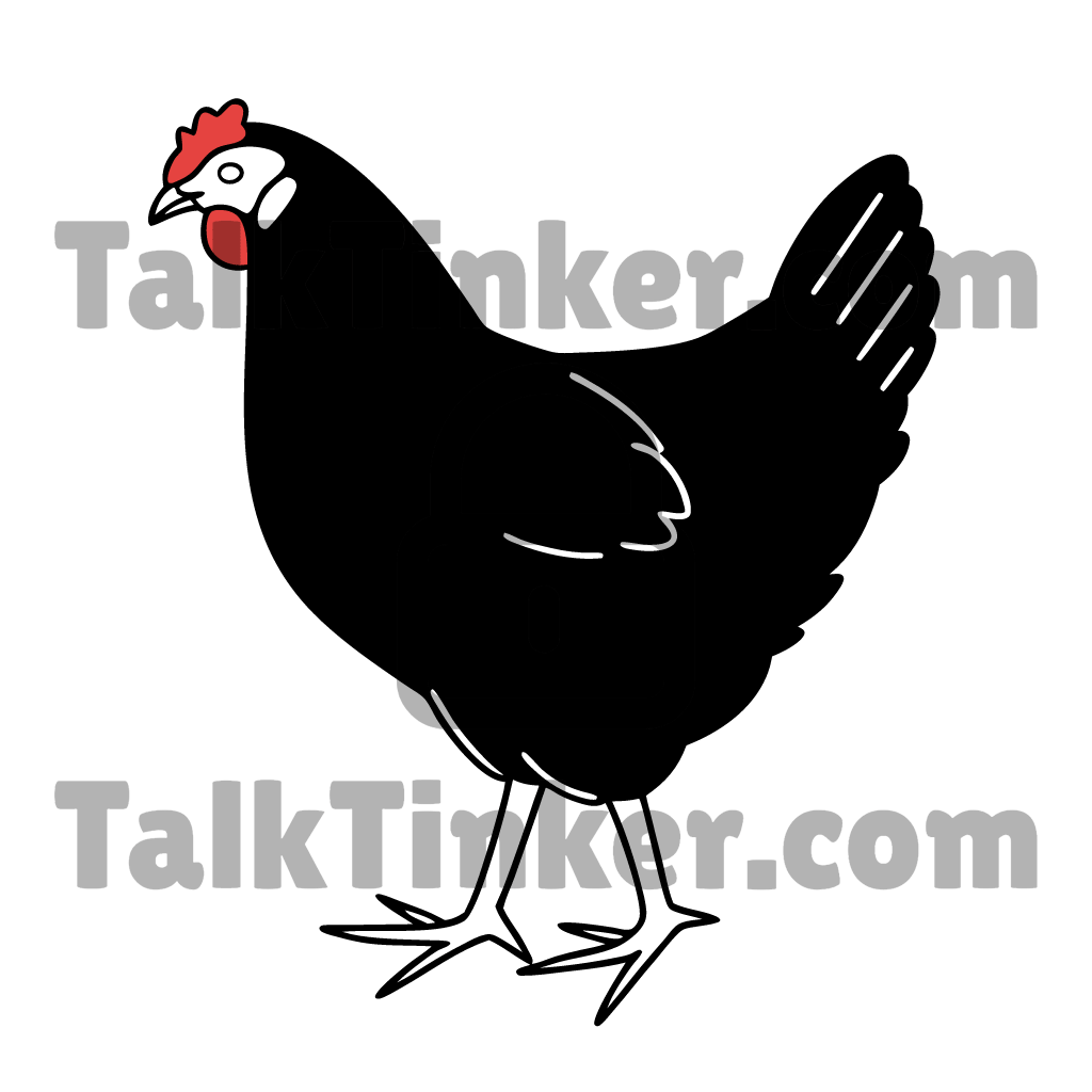 Hen