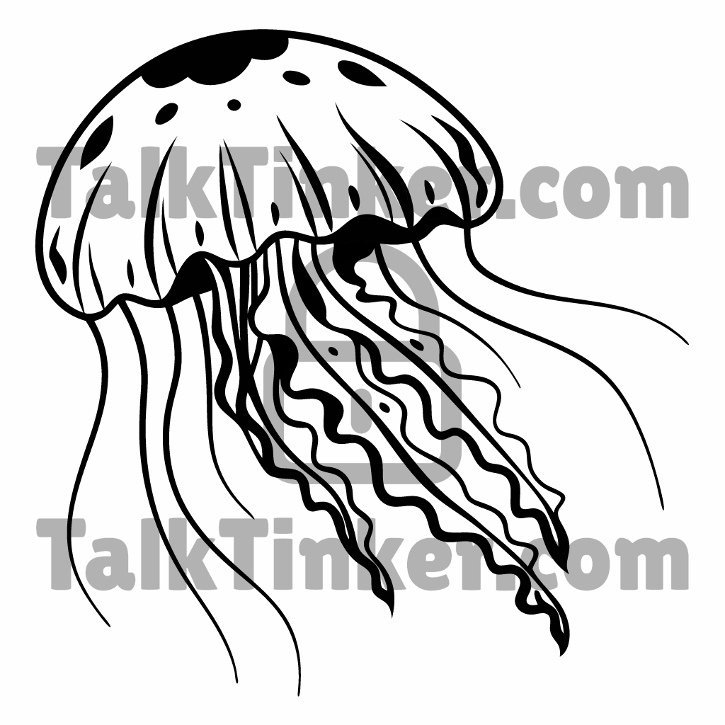 Jellyfish