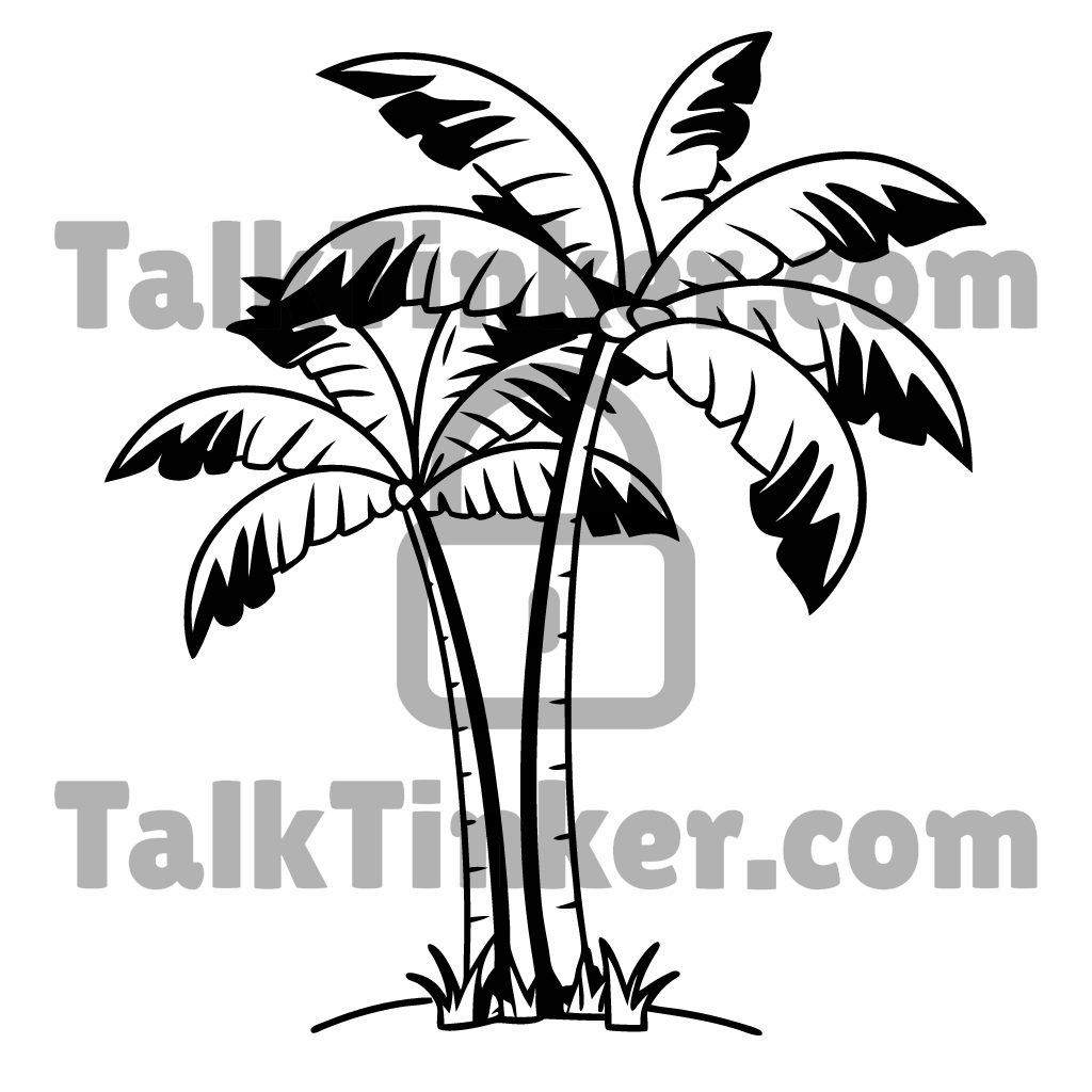 Palm Tree