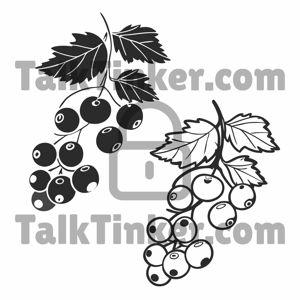 Redcurrant