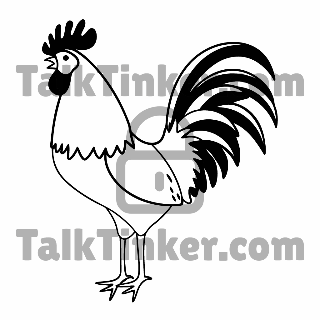 Rooster