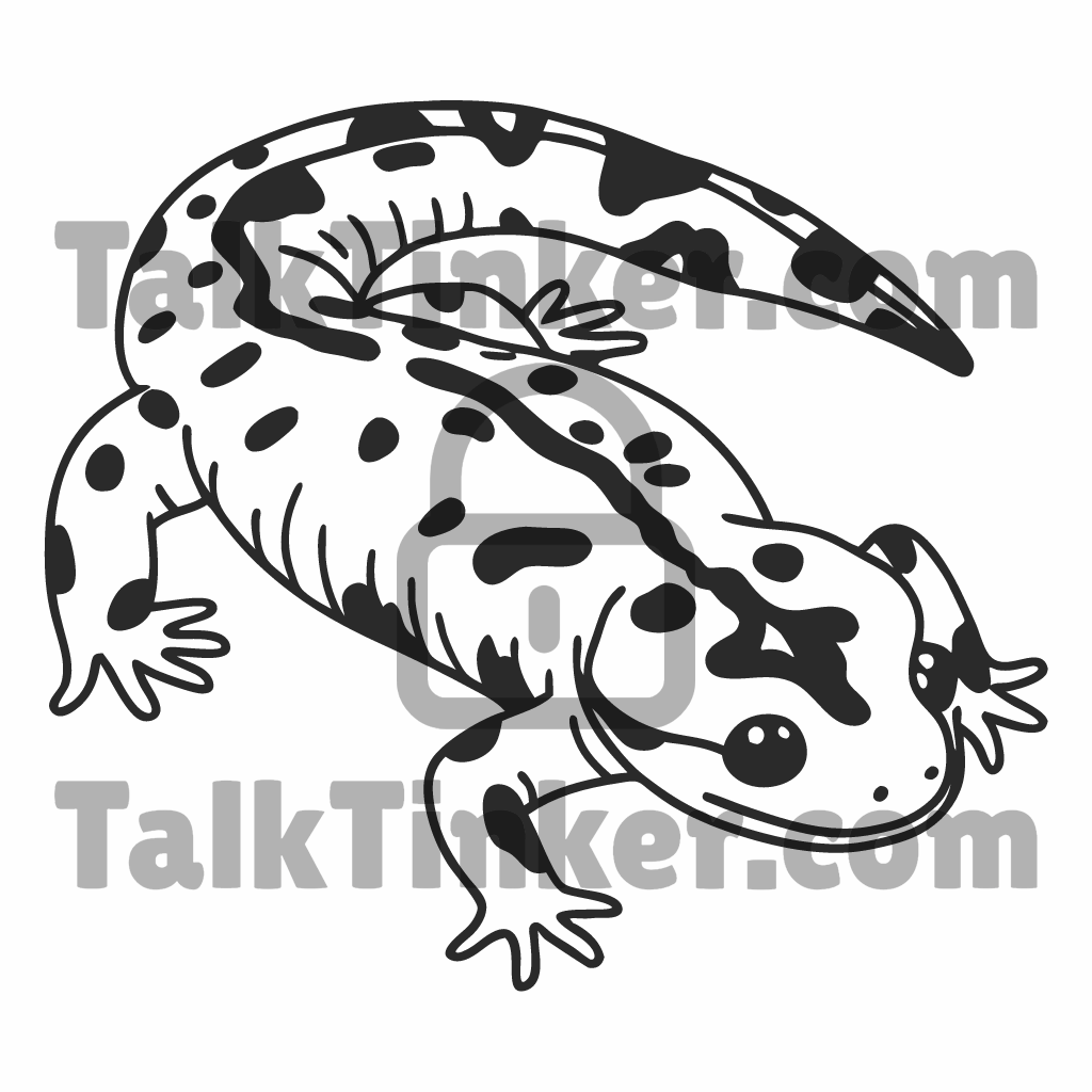 Salamander