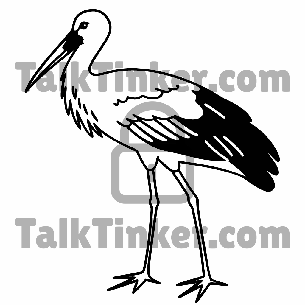 Stork