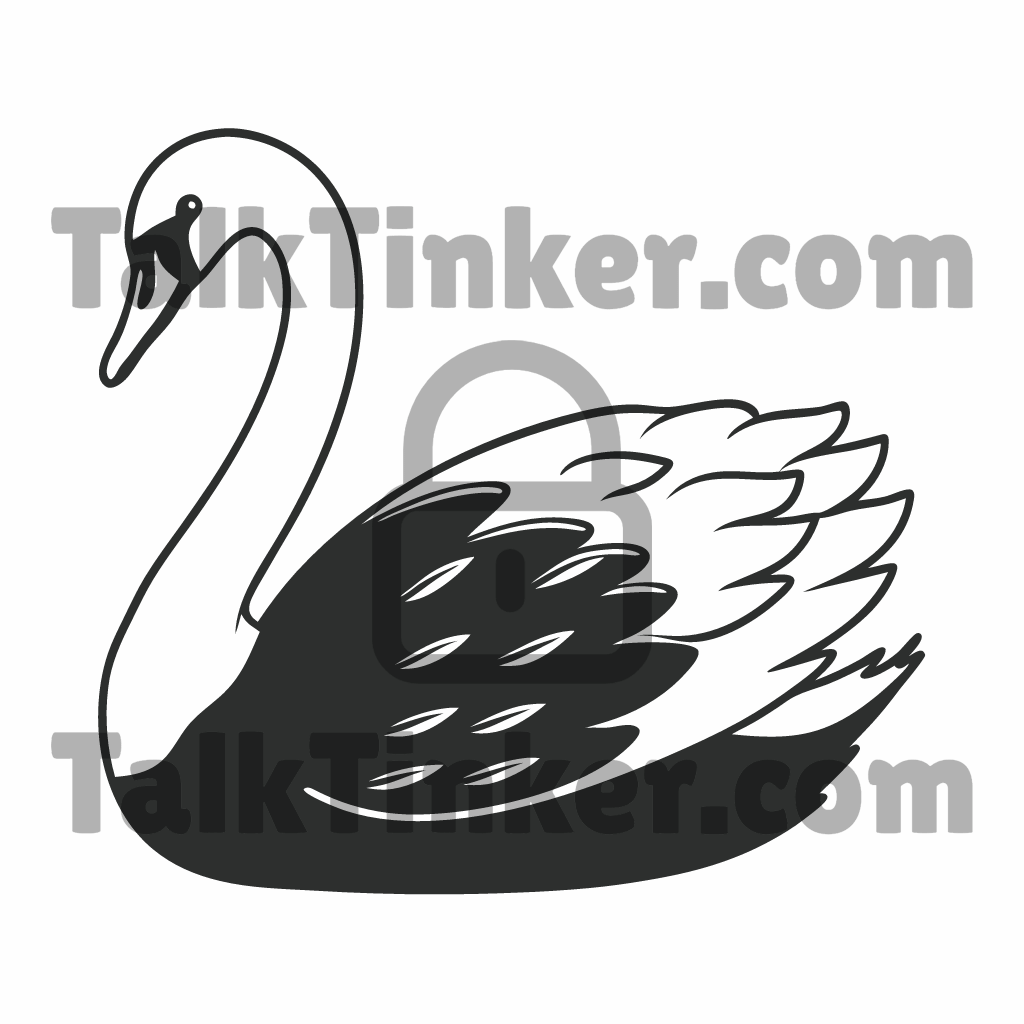 Swan