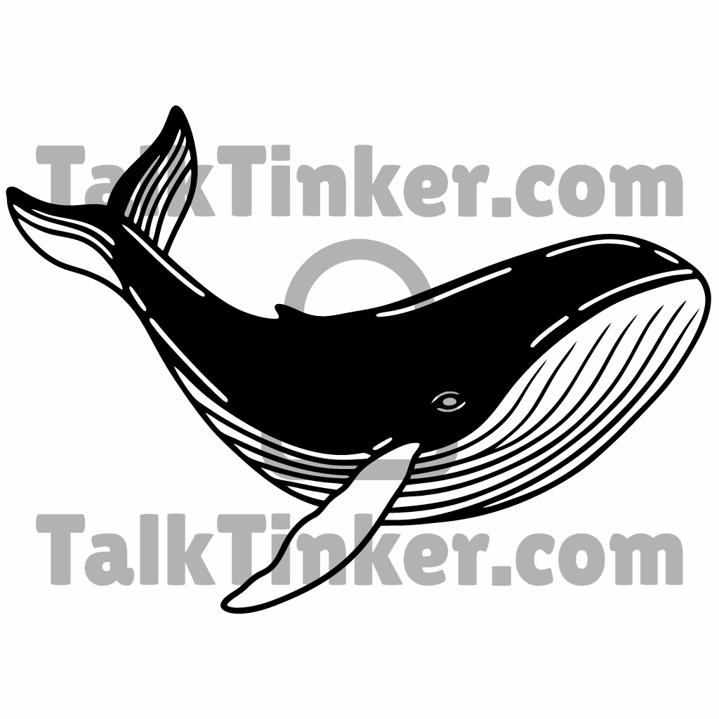 Whale