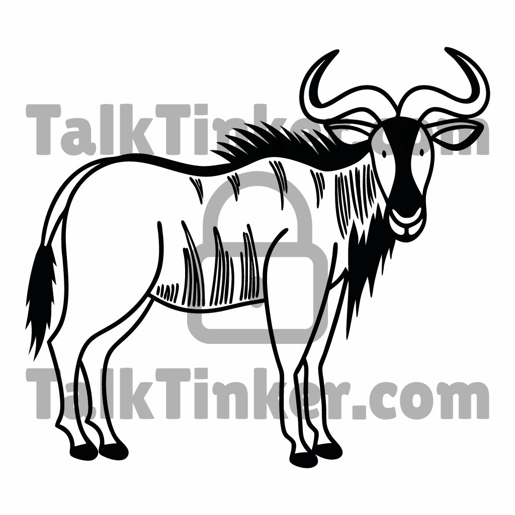 Wildebeest