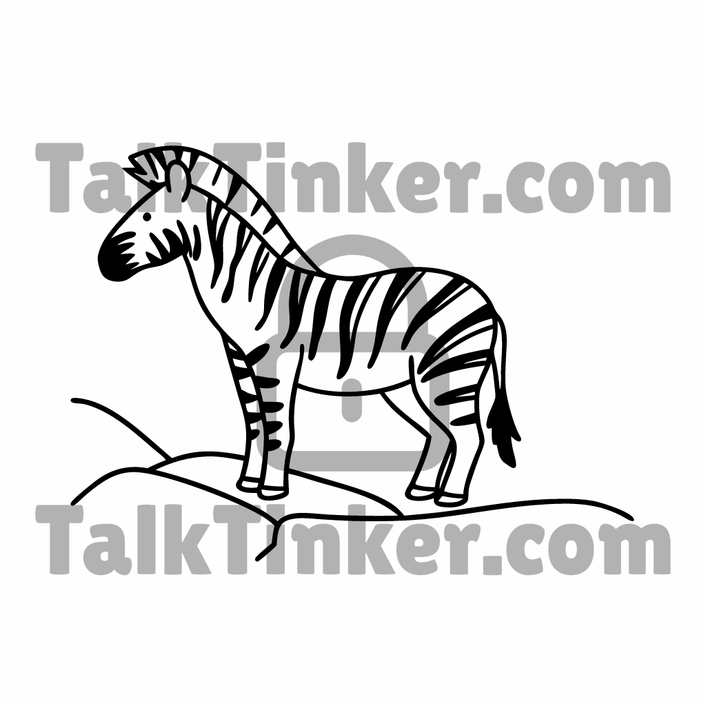 Zebra